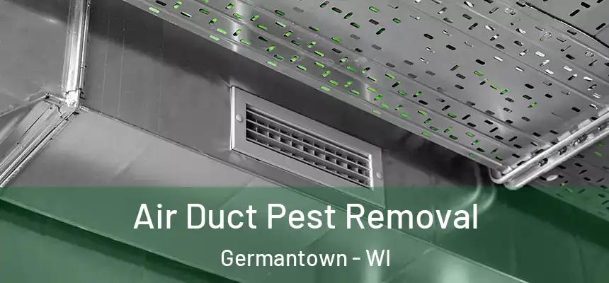 Air Duct Pest Removal Germantown - WI