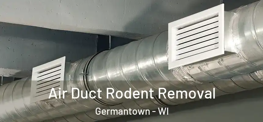 Air Duct Rodent Removal Germantown - WI
