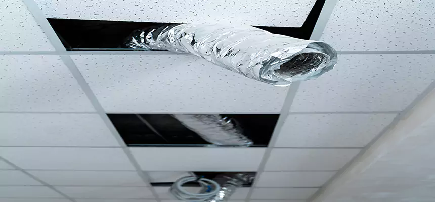 Our Air Duct Pet Hair Removal Services in Germantown, WI