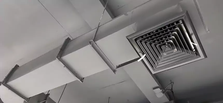 Our Pest Removal From Ducts Services in Germantown, WI