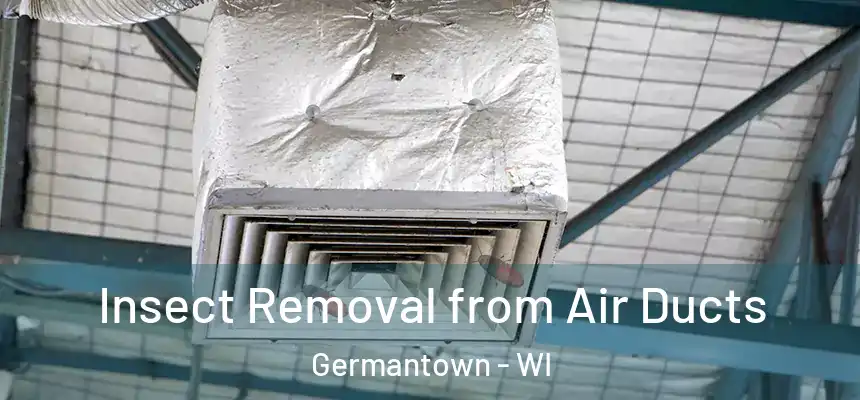 Insect Removal from Air Ducts Germantown - WI