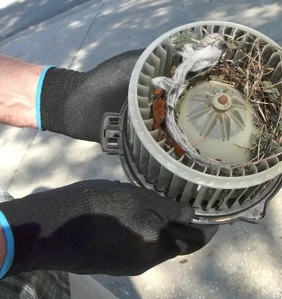 About Air Duct Rat Removal in Germantown, WI