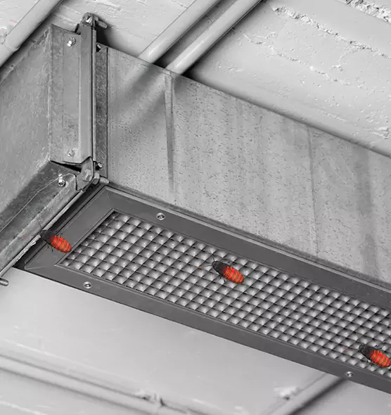 Affordable Insect Removal from Air Ducts in Germantown, WI