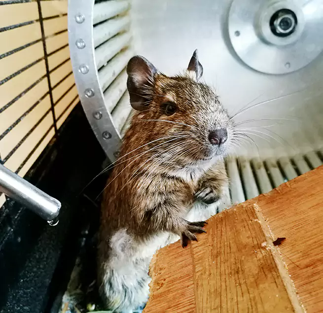 Why Homeowners & Businesses Trust Us Germantown, WI?